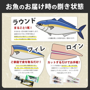 【お刺身用】ロイン2種詰め合わせ 約900g 切って盛るだけ ロイン 鯛王4節 シマアジ4節 届いてすぐに食べれる 長島町 冷蔵 ふるさと納税 【JFA】jfa-7137