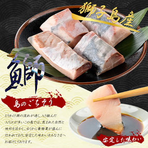 獅子島産 百年漁師の鰤 お刺身用サク (約150g×4パック) 【島のごちそう】gochi-7042