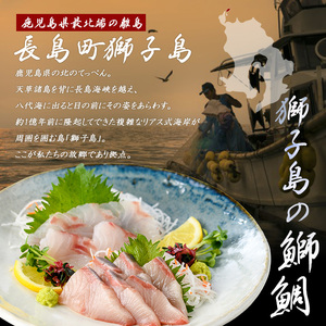 獅子島産 百年漁師の真鯛 お刺身用サク (約100g×6パック) 【島のごちそう】gochi-7053