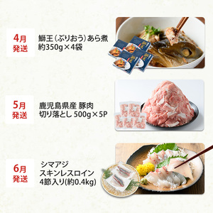 《毎月発送全12回》全事業者 長島町スペシャル定期便 nagashima-1536