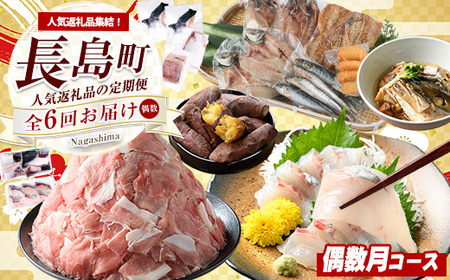 《偶数月発送全6回》全事業者 長島町スペシャル定期便 nagashima-1537