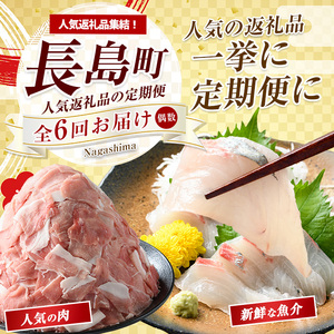 《偶数月発送全6回》全事業者 長島町スペシャル定期便 nagashima-1537