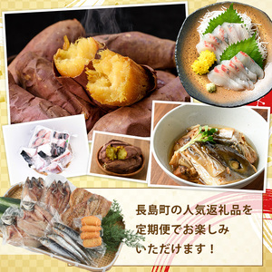 《偶数月発送全6回》全事業者 長島町スペシャル定期便 nagashima-1537