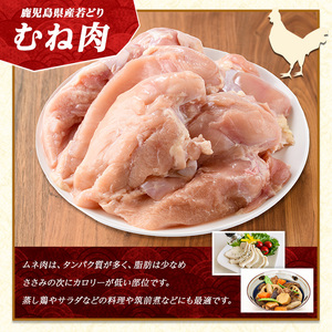 鹿児島県産 若鶏ムネ肉(計8kg・2kg×4袋) 鶏むね肉 小分け 鶏肉 むね肉 鶏肉 むね 【まつぼっくり】matu-6102