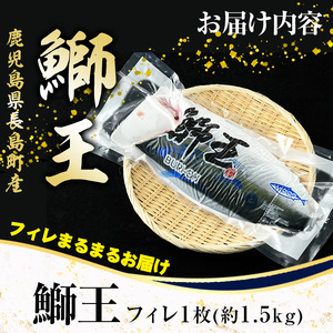 ぶりの王様「 鰤王 」 フィレ (約1.5kg・フィレ1枚) 産地直送 新鮮 旨味が抜群の 長島町 特産品 ブランド ぶり 鰤 ブリ 切り身 真空 冷蔵 刺身 ぶりしゃぶ しゃぶしゃぶ 魚 魚介 人気 ランキング 【JFA】jfa-1219