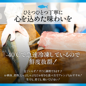 お家で簡単レンジでチン！鰤セット(7品) 魚 レンジ 塩サバ ぶり ブリ 鰤 煮魚 冷凍 調理済み ぶり照り 魚セット おかずセット 冷凍食品【山崎海産】yama-6023｜ ぶり ブリ 鰤 刺身 ぶり ブリ 鰤 おかず おかずセット 魚 レンジ 魚セット ぶり ブリ 鰤 刺身 ぶり ブリ 鰤 おかず おかずセット 魚 レンジ 魚セット ぶり ブリ 鰤 刺身 ぶり ブリ 鰤 おかず おかずセット 魚 レンジ 魚セット ぶり ブリ 鰤 刺身 ぶり ブリ 鰤 おかず おかずセット 魚 レンジ 魚セット ぶり ブリ 鰤 刺身 ぶり ブリ 鰤 おかず おかずセット 魚 レンジ 魚セット ぶり ブリ 鰤 刺身 ぶり ブリ 鰤 おかず おかずセット