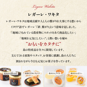 とけないアイス「しゃりしゃりくずバー」(8本)【レガーレ・ワキタ】waki-7336