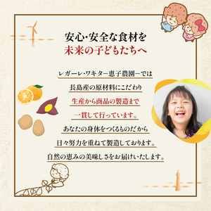 とけないアイス「しゃりしゃりくずバー」(8本)【レガーレ・ワキタ】waki-7336