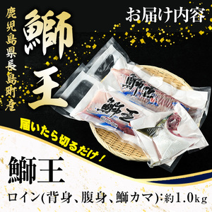 テレビで紹介ぶりの王様「 鰤王 」 ロイン 2節 (約1kg) 半身 産地直送 新鮮 旨味が抜群の 長島町 特産品 ブランド ぶり 鰤 ブリ 切り身 真空 冷蔵 刺身 ぶりしゃぶ しゃぶしゃぶ 魚 魚介 人気 ランキング 【JFA】jfa-1223