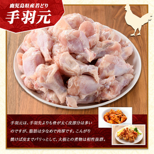 若どり手羽元(計12kg・2kg×6袋) 鶏肉 小分け 冷凍 手羽元 【まつぼっくり】matu-6097