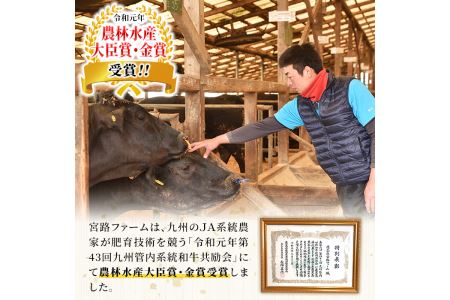 長島町産　黒毛和牛　焼肉セット2種_f-miyaji-6048