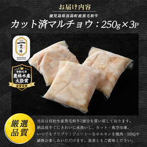 和牛カット済ホルモン（マルチョウ）250g×3パック 計750g ホルモン 牛肉 丸腸 焼肉 ホルモン 牛もつ もつ鍋 f-miyaji-6049