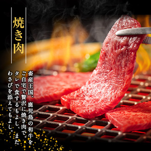 鹿児島県産 黒毛和牛ロース焼肉400g_starzen-7303