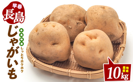 長島町特産早春バレイショ(10kg)鹿児島県 長島町 じゃがいも ばれいしょ 芋 早春【鹿児島いずみ農業協同組合】ja-7109