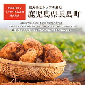 【先行予約】早春長島のミネラル栽培ジャガイモ(10kg)【エグチベジフル株式会社】eguchi-7021