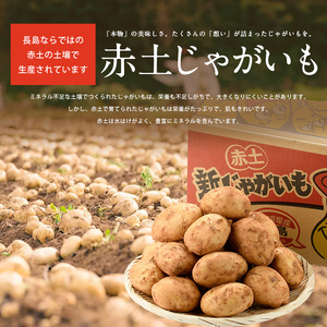 【先行予約】早春長島のミネラル栽培ジャガイモ(10kg)【エグチベジフル株式会社】eguchi-7021