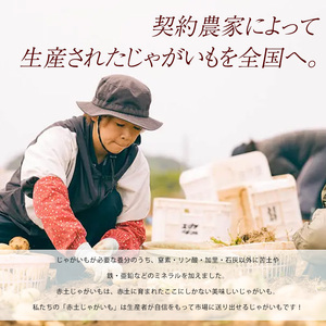 【先行予約】早春長島のミネラル栽培ジャガイモ(10kg)【エグチベジフル株式会社】eguchi-7021