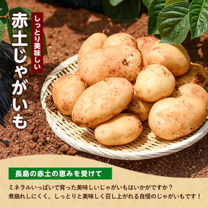 《先行受付:5月発送》長島町 いから島産 赤土 じゃがいも10kg 【高橋農園】takahashi-7308