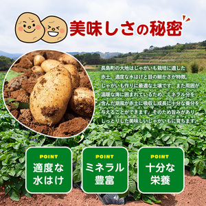 《先行受付:5月発送》長島町 いから島産 赤土 じゃがいも10kg 【高橋農園】takahashi-7308
