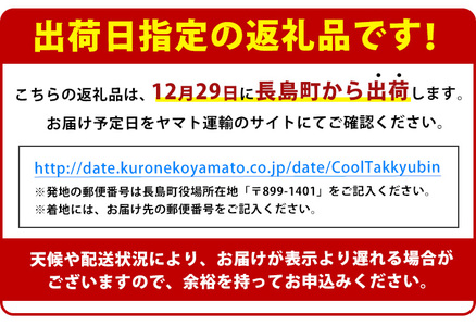 【12月29日発送】長島町特産「鯛王」(2匹・約2.4kg) 産地直送 新鮮 旨味が抜群の 長島町 特産品 ブランド 真鯛 をまるごと 一匹 楽しめる 刺身 鯛めし 鯛茶漬け 鯛しゃぶ 鯛刺身 鮮魚 冷蔵 【JFA】_jfa-499-1229