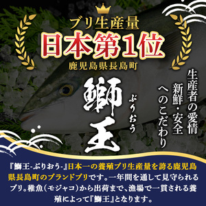 長島町特産の鰤王 まるごと１本 内臓処理済み 12月28日発送 Jfa 495 鹿児島県長島町 ふるさと納税サイト ふるなび