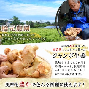ジャンボ生姜 Hashimoto 673 鹿児島県長島町 ふるさと納税サイト ふるなび
