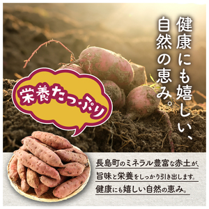 《 訳あり 》飯尾農園 熟成 紅はるか 約5kg 芋 いも さつまいも サツマイモ 鹿児島県産 国産 長島町産 べにはるか 熟成【飯尾農園】miio-7233