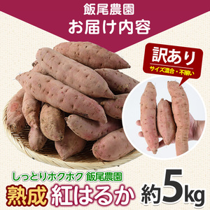《 訳あり 》飯尾農園 熟成 紅はるか 約5kg 芋 いも さつまいも サツマイモ 鹿児島県産 国産 長島町産 べにはるか 熟成【飯尾農園】miio-7233