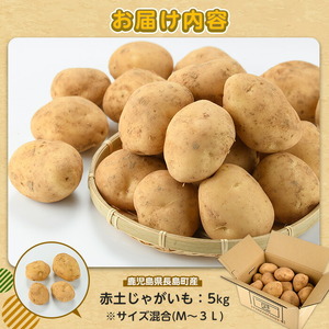 【先行予約】＜数量・期間限定＞ホックホク甘さがある伊唐産早春じゃがいも(約5kg)【旬感foods】horino-7075