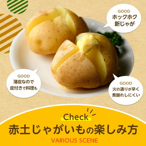 【先行予約】＜数量・期間限定＞ホックホク甘さがある伊唐産早春じゃがいも(約10kg)【旬感foods】horino-7076