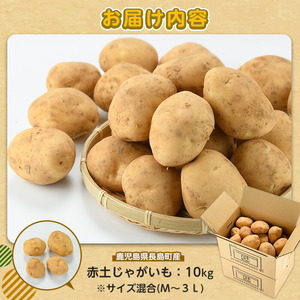 【先行予約】＜数量・期間限定＞ホックホク甘さがある伊唐産早春じゃがいも(約10kg)【旬感foods】horino-7076