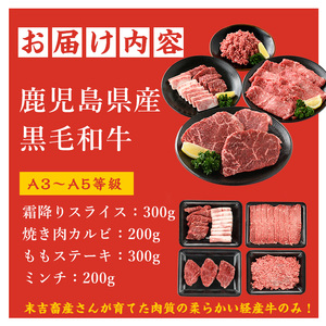 鹿児島県産黒毛和牛 食べ比べ4部位セット(計1kg)鹿児島県産 国産 九州 長島町 牛肉 モモ カルビ ミンチ ももステーキ BBQ 焼肉【コネクトライン】konekuto-7183