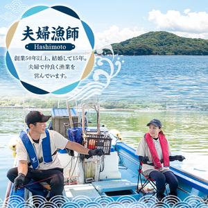 夫婦漁師の乾燥あおさ（10g×10袋）【夫婦漁師Hashimoto】fuufu-942