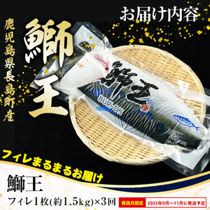 ＜定期便・毎月 全3回＞ 鰤王フィレ 定期便 長島町特産「鰤王」フィレ 約1.5kg×1枚 国産 鹿児島県産 鰤 ブリ ぶり 鰤 ぶりおう 冷蔵 海鮮 海産物 魚介 背身 腹身 ブランド 魚 真空パック 刺身 ぶりしゃぶ しゃぶしゃぶ 海鮮丼 産地直送【JFA】jfa-1387A