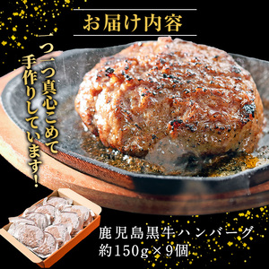 鹿児島黒牛特選ハンバーグ9個入り【nixy中山亭】chuzan-7012