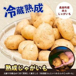 【先行予約】和喜雄さんといつみさんの熟成じゃがいも5kg【飯尾和喜雄農園】iio-7085