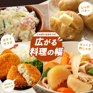 【先行予約】和喜雄さんといつみさんの熟成じゃがいも5kg【飯尾和喜雄農園】iio-7085