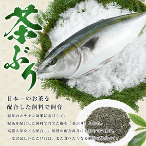 ブリカマ付！茶ぶり スキンレスロイン(片身分・2分の1カット済) 鮮魚 下処理済み ぶり 柵 刺身 ブリ 切り身 鰤 ぶりかま 【ウスイ】usui-1033