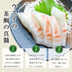 茶鯛 フィレ(2枚入り)【ウスイ】usui-7321