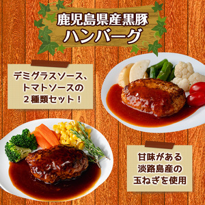 鹿児島黒豚 ハンバーグ 2種 計840g デミグラス トマトソース 【ナンチク】_y460