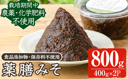 《数量限定》薬膳味噌(ハトムギ味噌)(計800g・400g×2パック) 味噌 麦味噌 自家栽培 ハトムギ 玄米麹 ハトムギ麹 麦麹 麹 こうじ 玄米 大豆 黒大豆 みそ汁 味噌汁 化学肥料不使用 農薬不使用 有機 有機農業 有機肥料【雲月農園】_y456