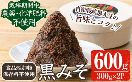 y457 《数量限定》黒味噌(黒米麹と黒大豆)計600g(300g×2パック) 味噌 黒味噌 黒大豆 大豆 田楽 和え物 黒米麹 麹 こうじ みそ汁 味噌汁 有機 有機農業 有機肥料 【雲月農園】