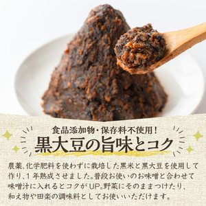 y457 《数量限定》黒味噌(黒米麹と黒大豆)計600g(300g×2パック) 味噌 黒味噌 黒大豆 大豆 田楽 和え物 黒米麹 麹 こうじ みそ汁 味噌汁 有機 有機農業 有機肥料 【雲月農園】