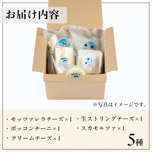 y466 放牧牛乳の手作りチーズセット(5種) 国産 鹿児島県産 湧水町産 乳製品 ちーず 生チーズ モッツァレラチーズ ボッコンチーニ クリームチーズ ストリングチーズ スカモルツァ 調味料 おつまみ おやつ 濃厚 手作り 食べ比べ 詰め合わせ 【西ノ村ファーム】