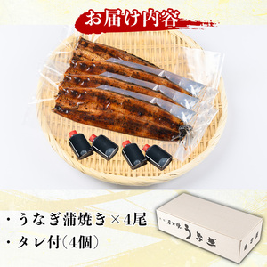 国産！うなぎ蒲焼き(4尾・タレ付き) 国産 九州産 鹿児島県 宮崎県 鰻 ウナギ unagi うな重 うな丼 ひつまぶし うなじゅう 蒲焼 かばやき 白焼 しらやき 無頭 魚 魚介類 土用 丑の日 タレ タレ付 おかず 惣菜 冷蔵 特産品 お土産 ギフト プレゼント ご贈答用 【尾方屋】_y511