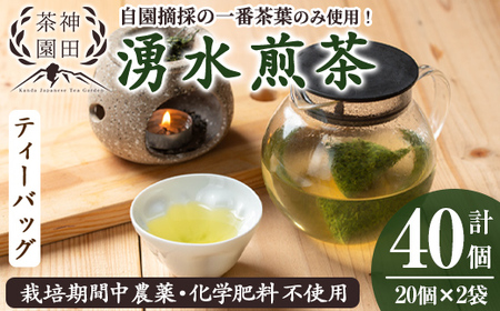 鹿児島県湧水町産!栽培期間中農薬・化学肥料不使用!湧水煎茶ティーバッグ 計40個(20個×2袋) 国産 九州産 鹿児島県産 茶葉 お茶 茶 日本茶 緑茶 煎茶 ティーバッグ ギフト 贈答 プレゼント 贈り物 【神田茶園】_y519