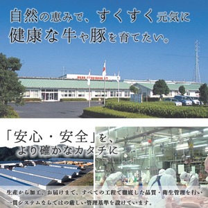 《特別企画》鹿児島黒牛リブローススライスセット(計700g・350g×2P) 国産 九州産 鹿児島 牛肉 黒牛 黒毛和牛 和牛 ブランド牛 リブロース ロース スライス しゃぶしゃぶ すき焼き すきやき 霜降り 期間限定 数量限定 冷凍【湧水町JAあいら】_y530