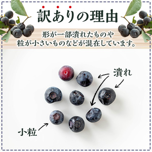 訳あり 加工用 冷凍 ブルーベリー 1kg 果物 フルーツ ベリー【体験型観光農園さつまドリームファーム】_y528
