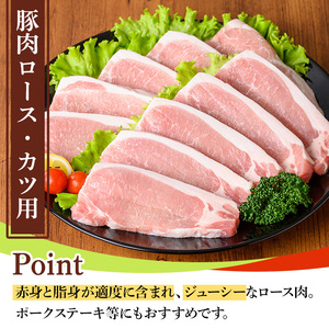 鹿児島県産ロースカツ・ヒレカツセット(ロースカツ用100g×10枚・ヒレカツ用30g×10枚・合計20枚) 国産 九州産 豚肉 ぶた肉 お肉 ロース ヒレ とんかつ ポークステーキ 冷凍 【TRINITY】_y531
