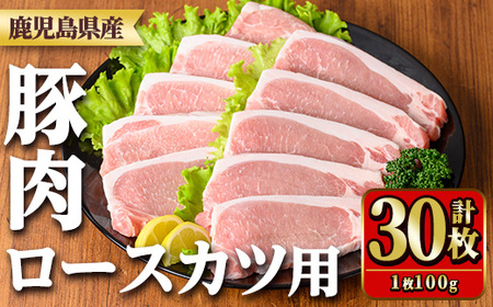 鹿児島県産豚肉ロースとんかつ用(100g×30枚) 国産 九州産 豚肉 ぶた肉 お肉 ロース とんかつ ポークステーキ 冷凍 【TRINITY】_y532
